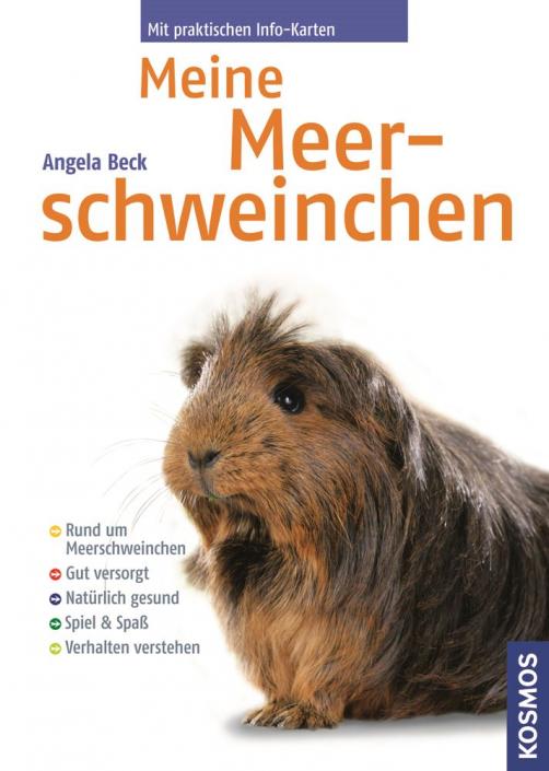 Buch